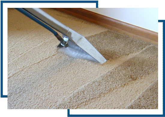 best carpet Cleaning